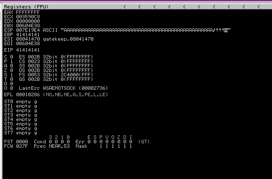 EIP filled with AAAA